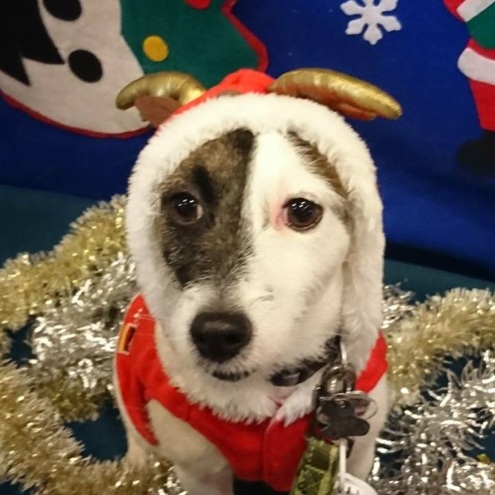 1866a9bd e632 48e1 ac86 245eb89ae8f0 1514157088759