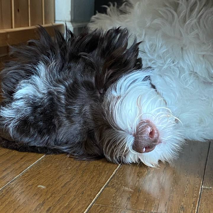 1866ad6b a151 4aff 8e7b bdeaa2f25a29 1614057305251