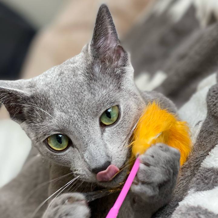 1866aff3 fc2a 47d8 bb4e d58863cdc350 1616241002894