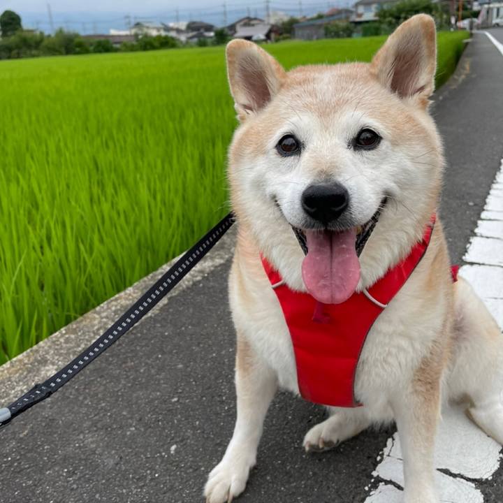 1866b237 b21f 4146 8924 edb3e28471a4 1658405594635