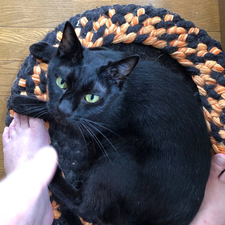 1866bf6e c009 40c5 ada3 24e6ce548cd2 1693093734031