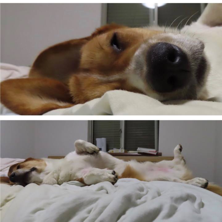 1866c289 bd9a 4a76 a3b5 8a547a522fbc 1628906305234