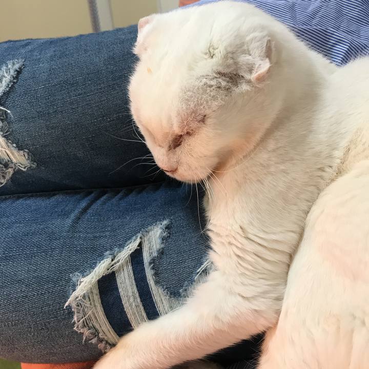 1866c443 4ee8 495e 97ba ca1ca05fa66e 1522894684910