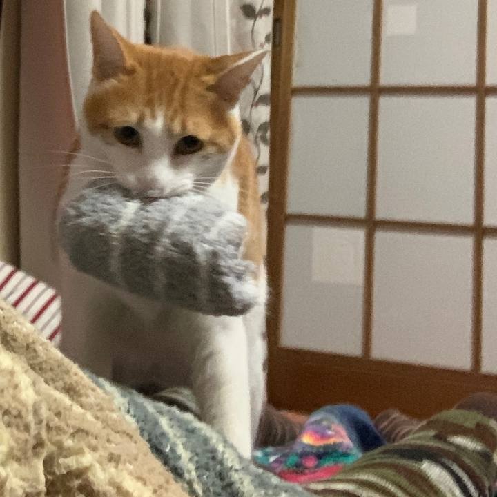 1866cbb0 11aa 4b19 9daf 33e5ecb030f2 1577451761963