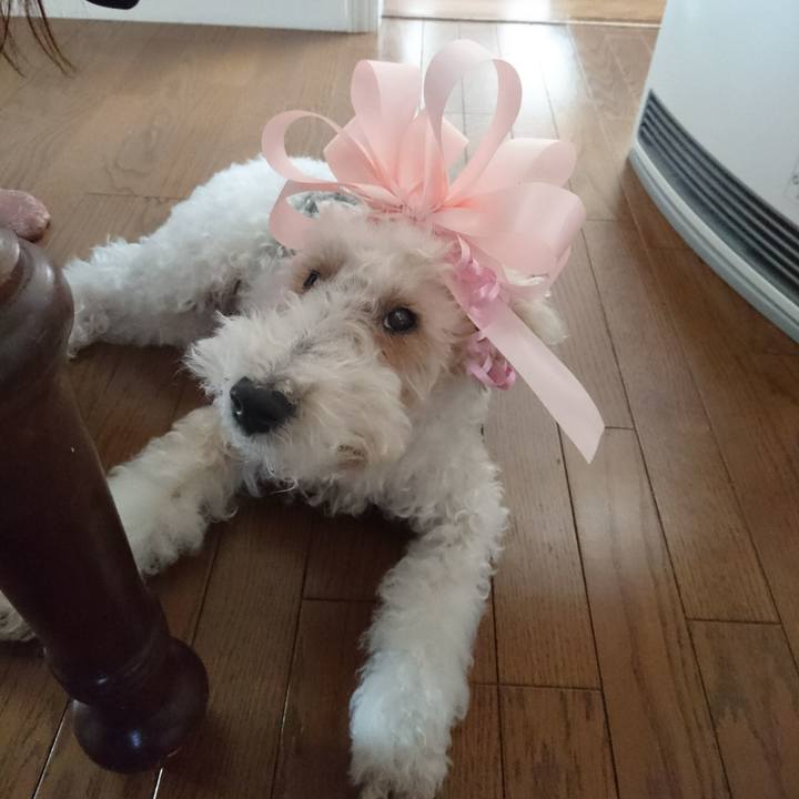 1866f050 72ab 42b2 b56b 1c99b6fc098e 1521082431059