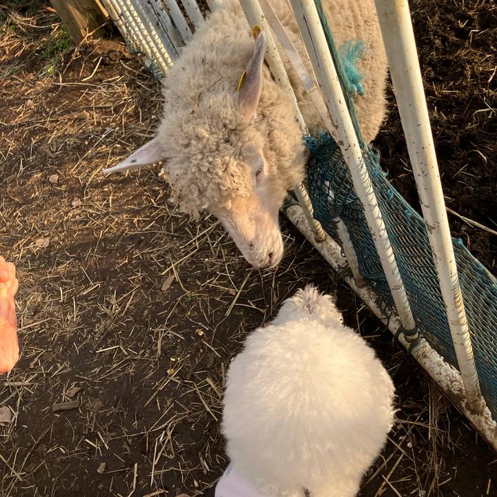 186704c5 882a 4cbe b542 7353a9aac70d 1763300482601