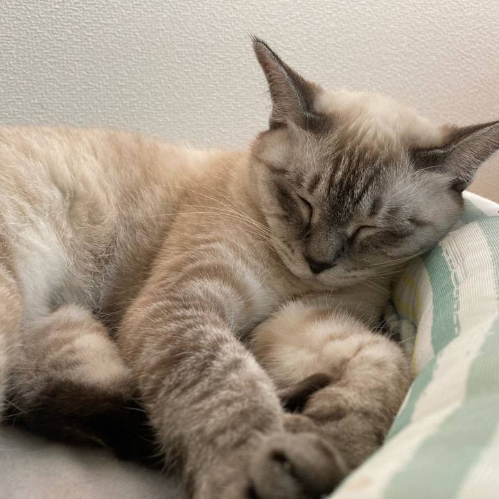 1867151d 6379 4ccc 9e88 245b6705a07f 1697697034016