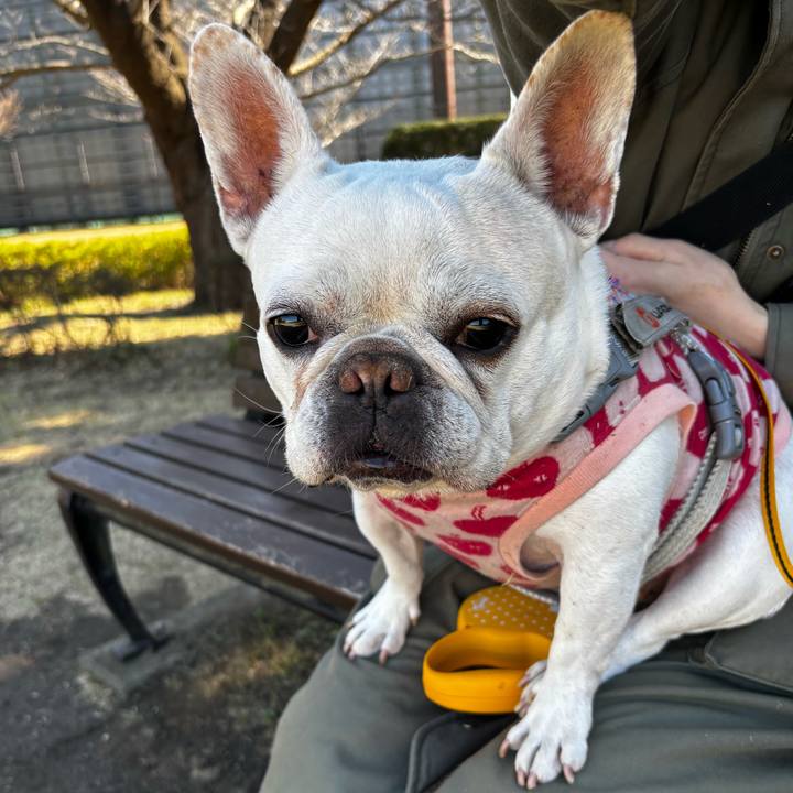 186715a3 e537 46d7 8a5f b1d143fdc05e 1772946157445