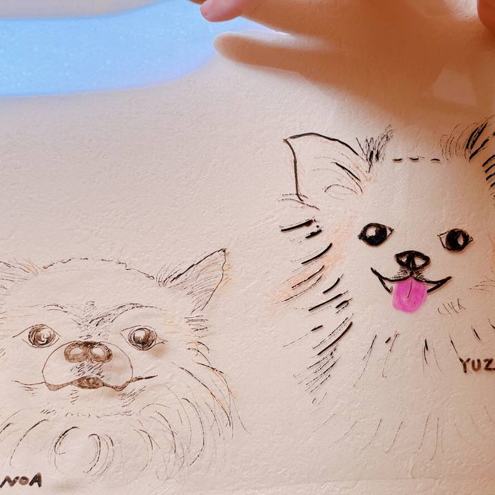 18676faf caae 43e2 b8e4 447c8361e2fd 1656417217245