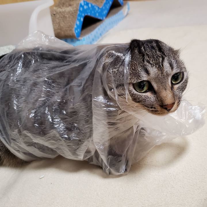 18680b03 0623 4e17 884e 058acd91ca20 1704898188887