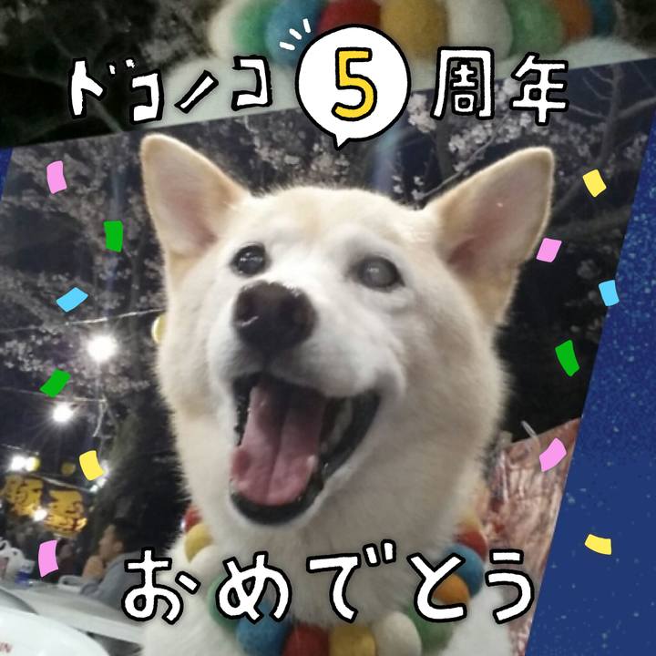 186814b6 beeb 4801 9480 b9112e4ae826 1623068604882