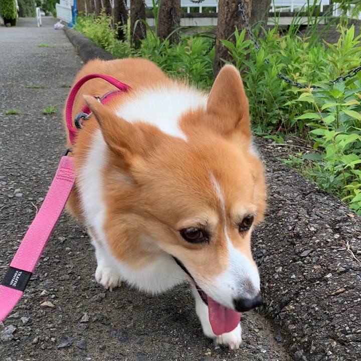 1868244d af96 43dd 9be7 617d1b5c560a 1658275647346