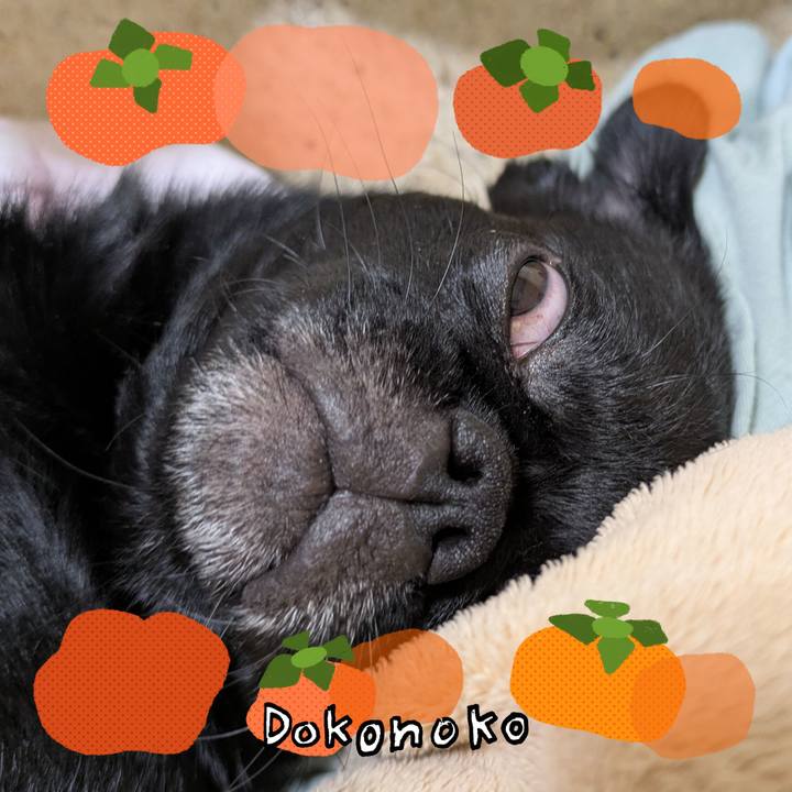 18685a84 7568 4d1f 8e60 2140907323e8 1761226181080