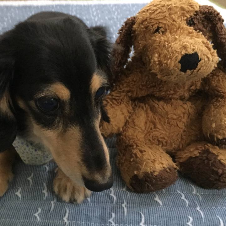 18686ddc d46a 4480 ac7b 49b963e0ef7f 1532331443438