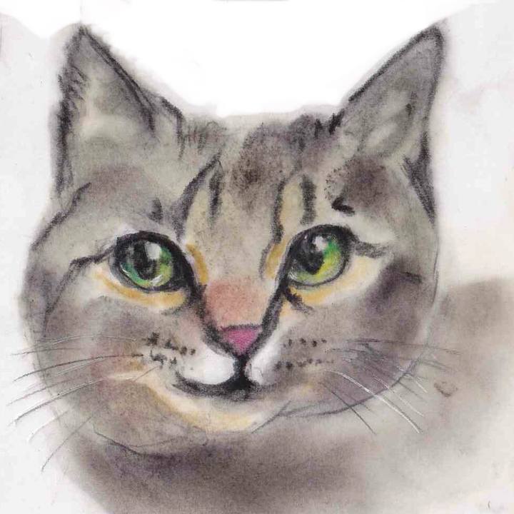 186872e4 3dfb 4314 ae79 c0bdbacb0c56 1629734190671