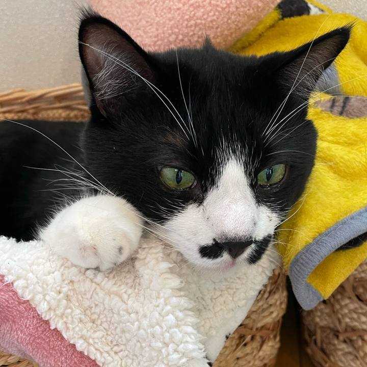 186889c6 a590 40bc 9778 29fdf7072a2f 1698187472350