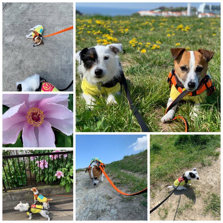 18688f16 74a7 402e b165 71585c982649 1555548580749