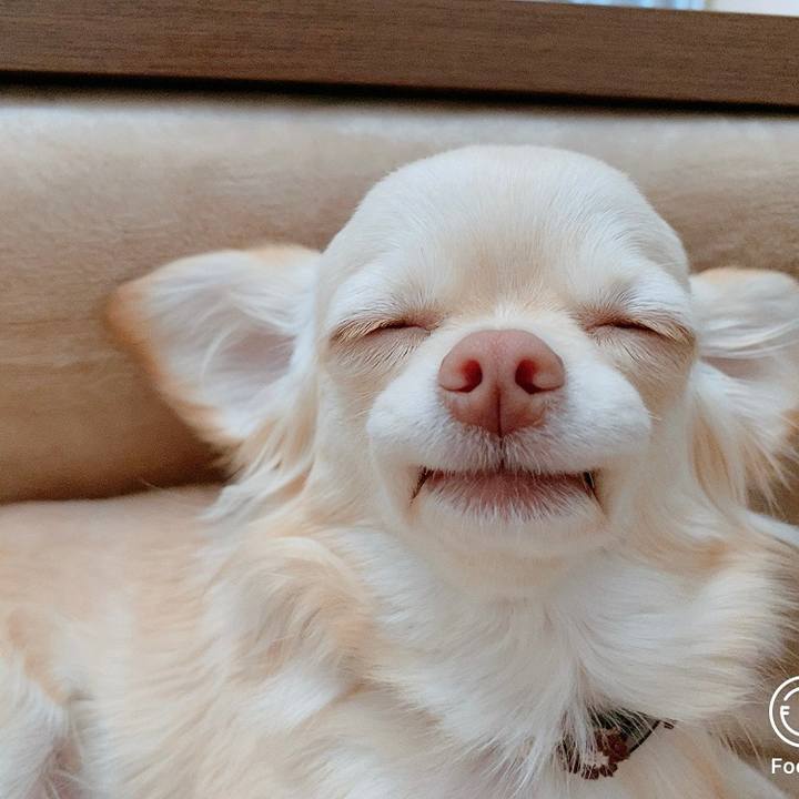 1868bdea 5c43 44b2 9e4f 82bb221d39c3 1612343977980