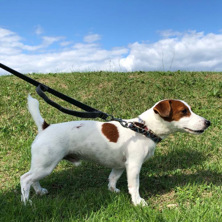 1868ed14 2a86 430d 9275 3e28cb28f330 1539501848542