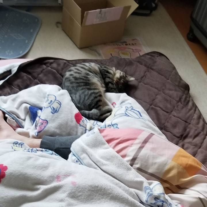 186908fe fb07 4465 9c37 362d6c30f190 1687571503041