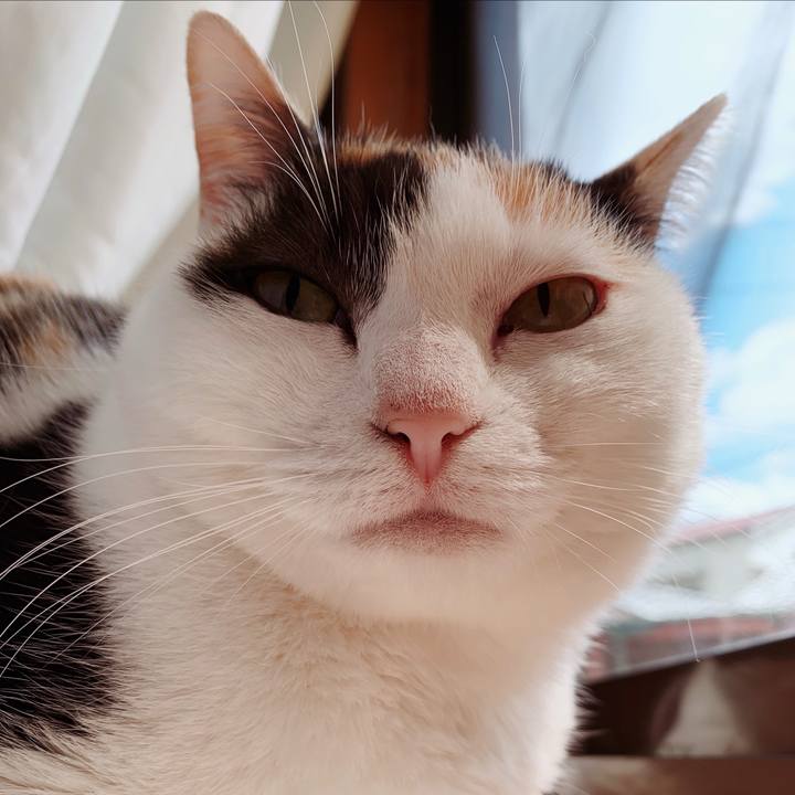 18690962 898b 4c36 b4cf 2c902af73072 1557191593808