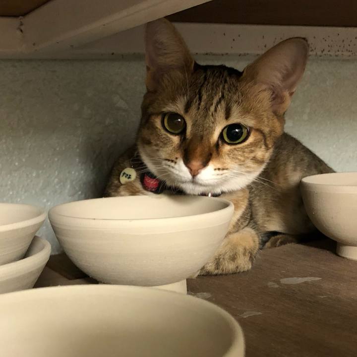 18693cdb af00 4357 ad75 80745d056bee 1605574553000