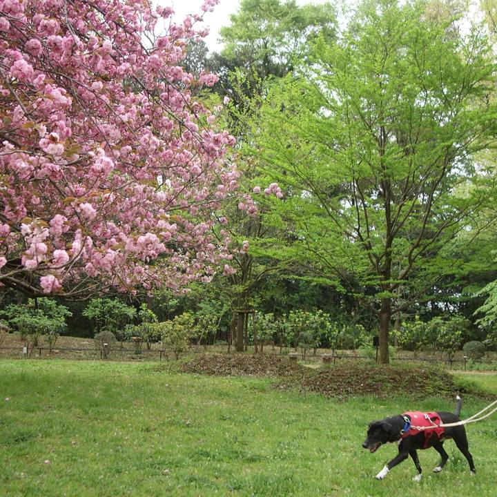 1869475b 6a43 4834 8eaf 88e314f12e73 1680830035539