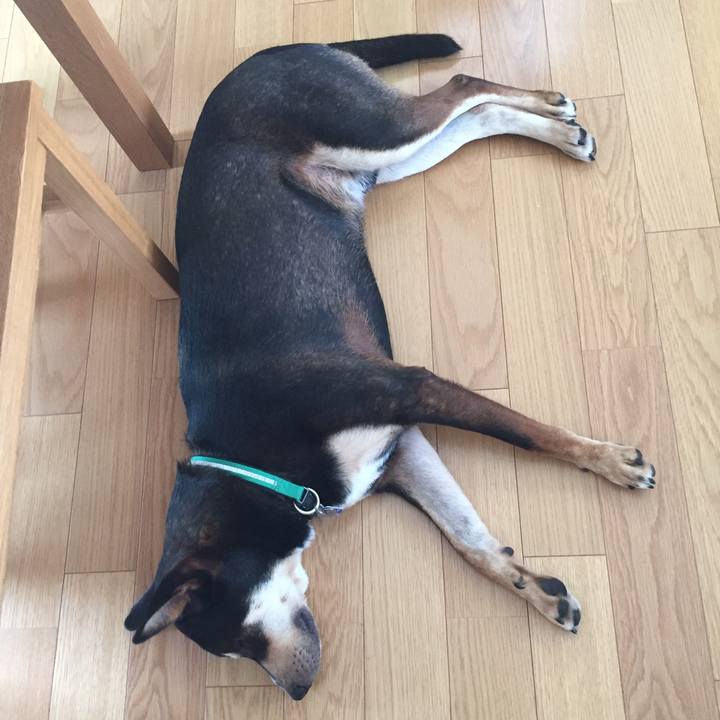 1869612c 4352 42e8 825f e275f155b92b 1531282300197