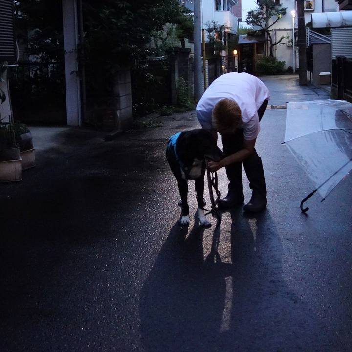 18698349 ac51 48ab b6ff 211d50d41edb 1719745156639