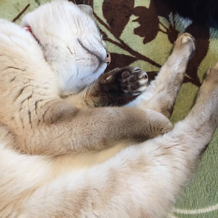 186987c3 d46f 4da2 b5b9 9de30bdb3c70 1589146785948