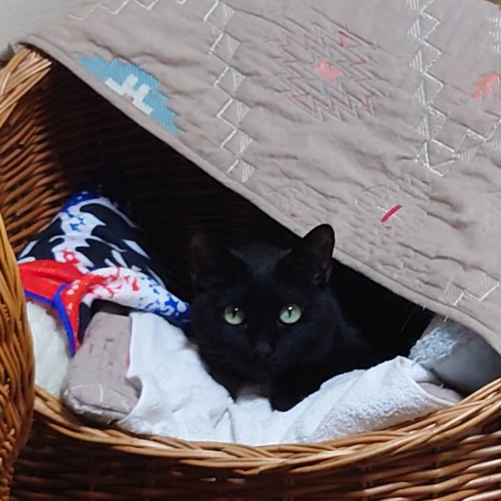 1869b2fd 6fb2 4600 99b1 70a7b9ffe19b 1745408589630