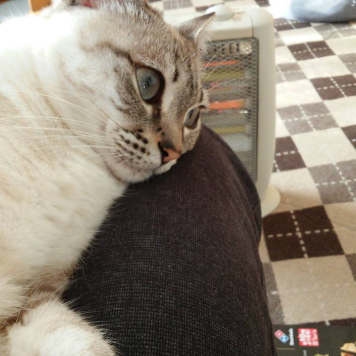 1869d4be 213d 4fae 819e 462d2716ba00 1513814586373