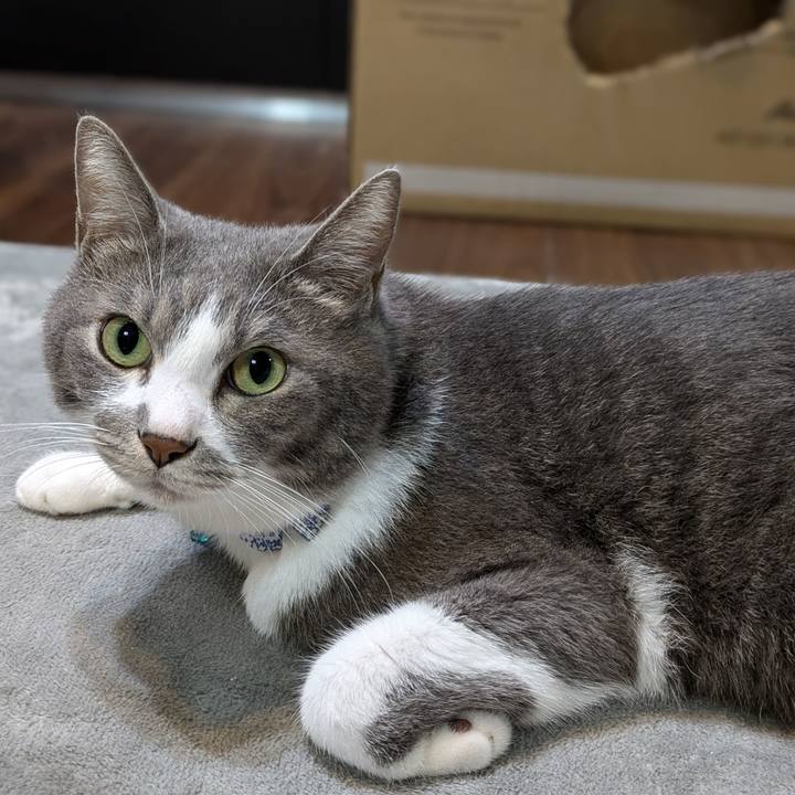 1869e44e f915 4fcb 8c25 be77d4494827 1729242866393