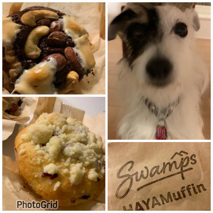 1869e52b df78 4786 b3bf c0325330d4c3 1699268156445