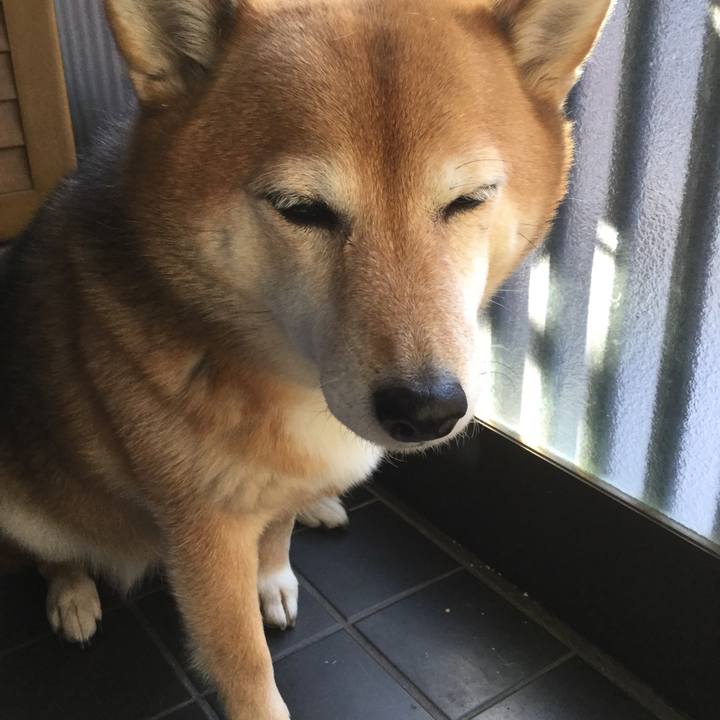 1869eb33 cf48 4cfd a23e d9a8b61c742f 1607909303438