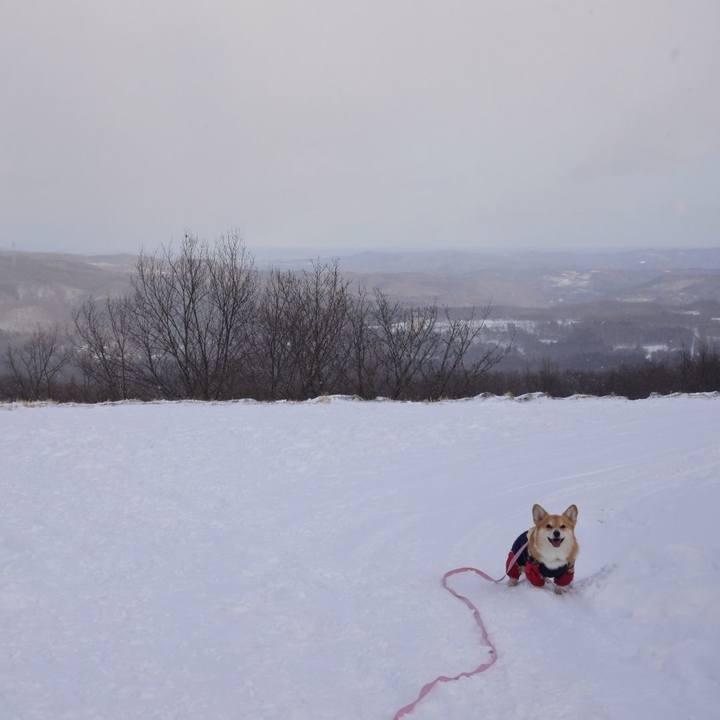 1869ec09 ef80 49b5 91f9 6249ade9a18a 1644072685020