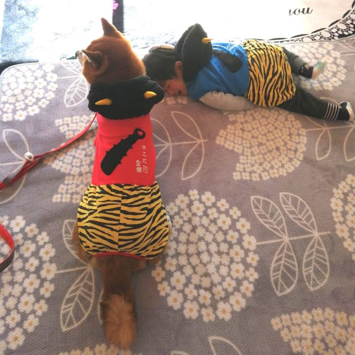 186a1965 7fc3 4587 9c46 89d6f6ed65b6 1580603673435