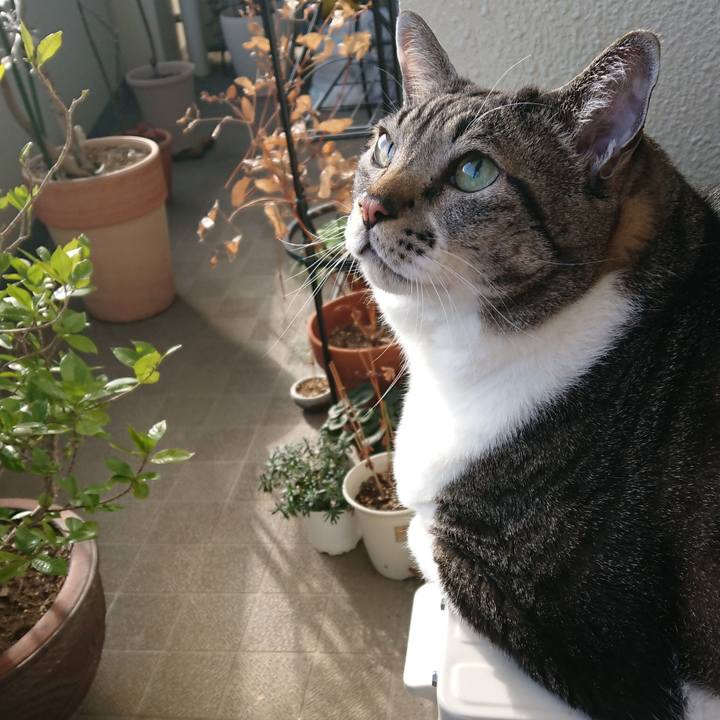 186a435a 911b 4e5d 8488 218bfb7a0b47 1577841810318