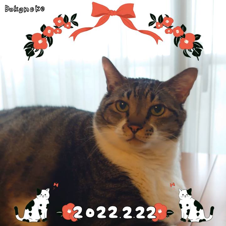 186a6e65 7356 48e1 b1be 7251c1fc225d 1645489041609