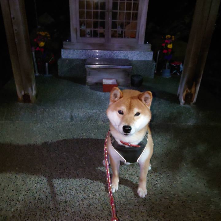 186aa2c6 24ad 4670 ac02 750030eb1c06 1770248633299