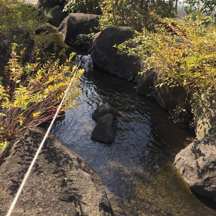 186aa61d 403c 4259 9a35 cae0837e5cdc 1540709146846