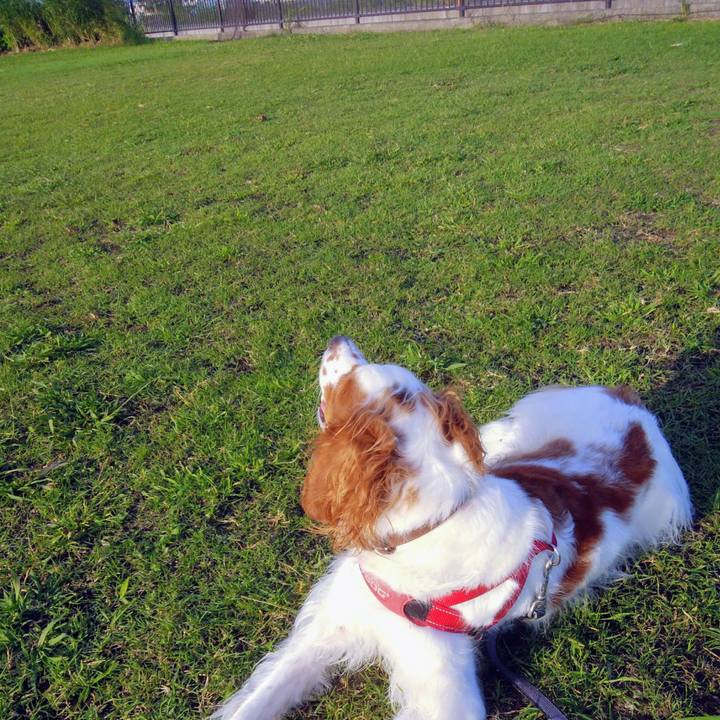 186ae0a4 7d91 4649 8019 429afd03a0d1 1538728406090