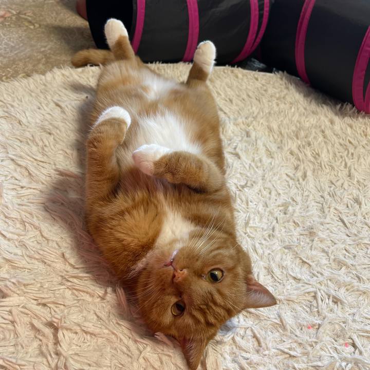 186ae307 4fad 490e 8e03 1f636ca4842b 1653812746703