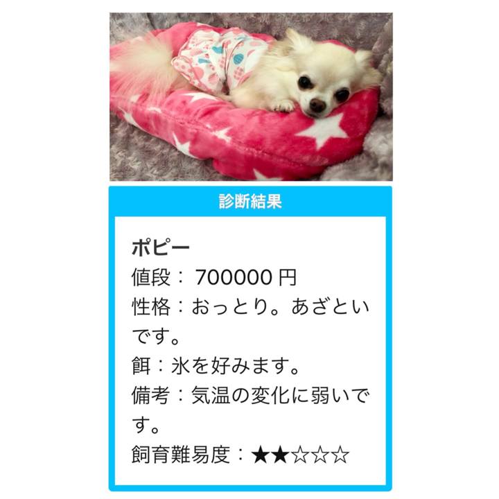 186b0c66 00db 4387 980a 7b749abb9611 1530581883320