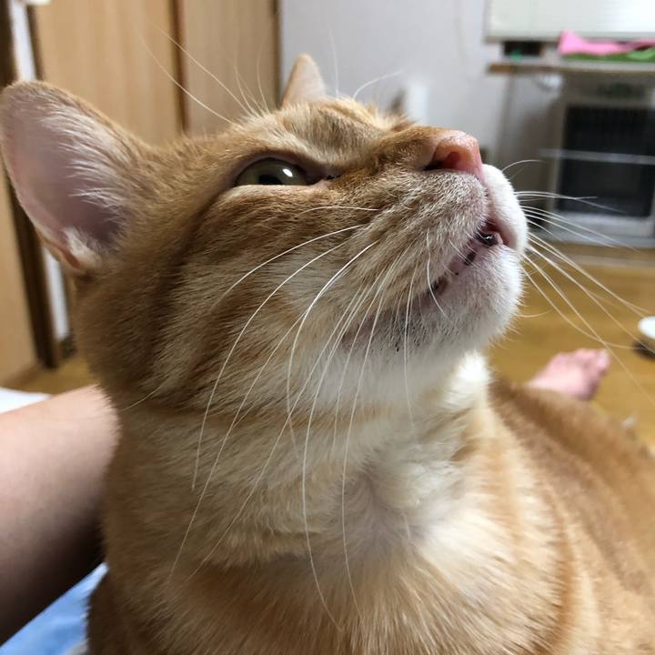 186b5a4d 6d0e 4513 964d 6cae9684fdc2 1582894247401