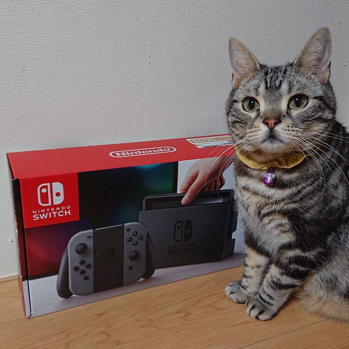 186b93fa f2dc 4bb6 a541 4b2ff9360b3b 1562893126808