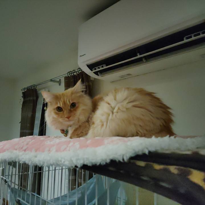 186bfc2b 7103 41ad b036 e4fdfb425f34 1705356095780