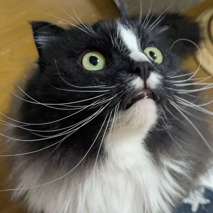 186bff78 92eb 4514 8022 0f9748c4f404 1774170492270