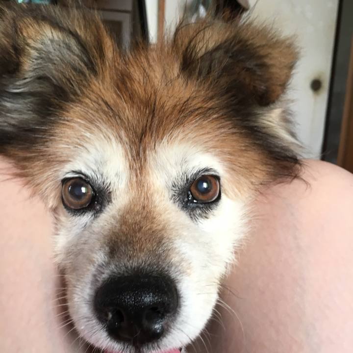 186c2496 2f38 484f b2a3 b409a0be2bc4 1550992484115