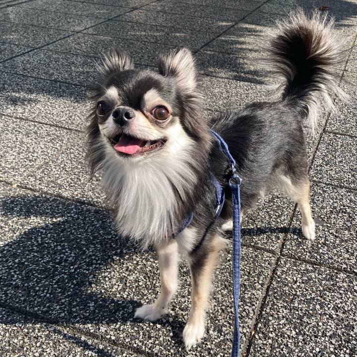 186c34dc 991e 4c3a a6a9 0b897f4cfbc2 1635910720865